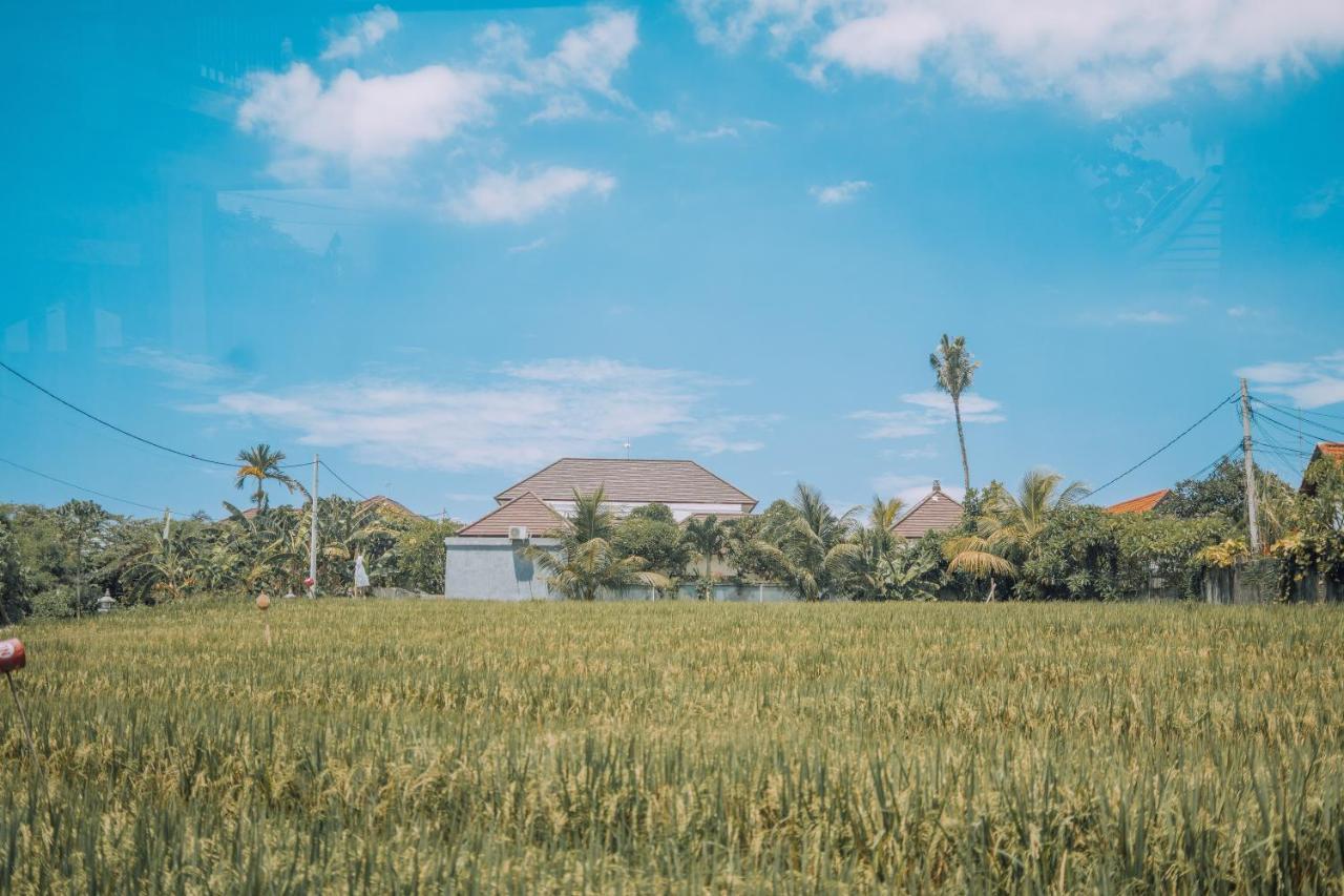 Gajah Villa By Betterplace Canggu Exteriér fotografie